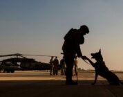 Proposal would boost retirement help for military working dogs