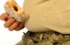 Fixing the military’s overweight and obesity crisis