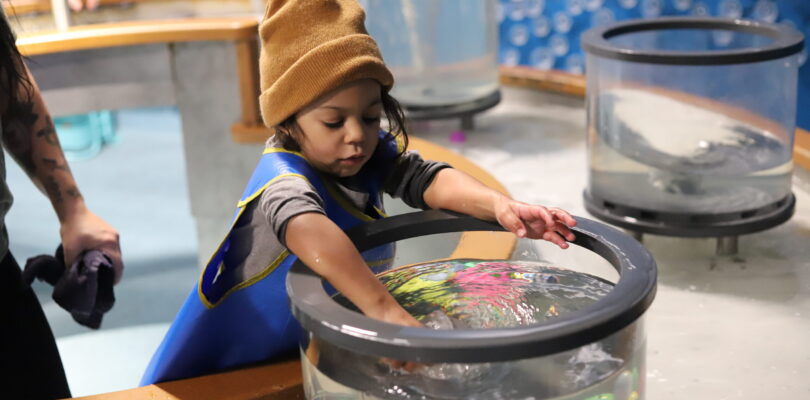 First-ever children’s museum on a military base gets top service award