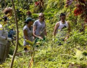 Navy, Marines Team Up with University of Hawaii on Resource Management