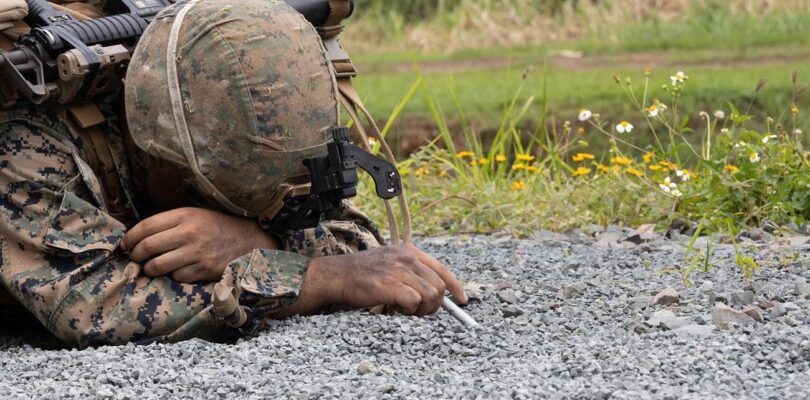 Navy Seeks to Expand Mine Warfare Training in Hawaii