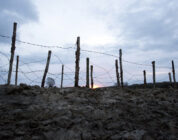 Why the 1914 Christmas Truce changed nothing on the Western Front